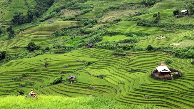 Northern Vietnam Hike Tour 7 Day